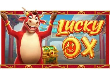 xbet